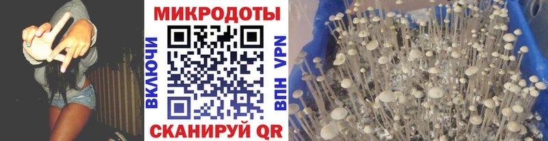 Галлюциногенные грибы мицелий  мега ССЫЛКА  Выборг 
