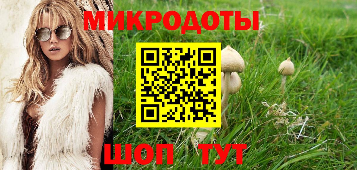 Галлюциногенные грибы Psilocybine cubensis Выборг