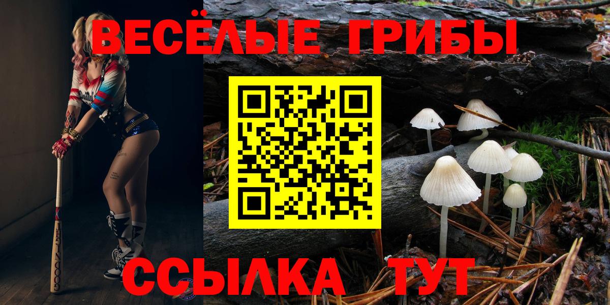Выборг  Галлюциногенные грибы Psilocybine cubensis  Вход с VPN  Псилоцибиновые грибы Cubensis 